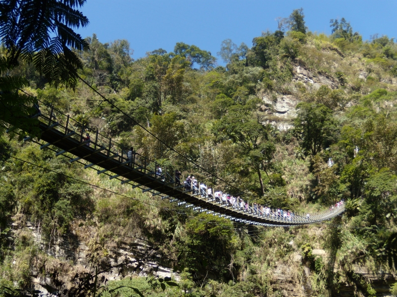 太極峽谷、竹山天梯步道