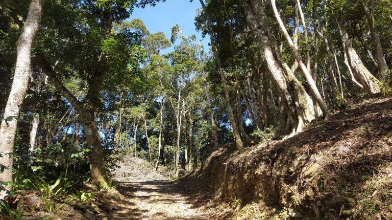 藤枝山步道