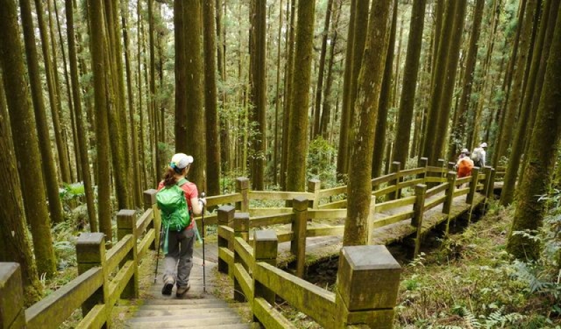 奮起湖大凍山步道