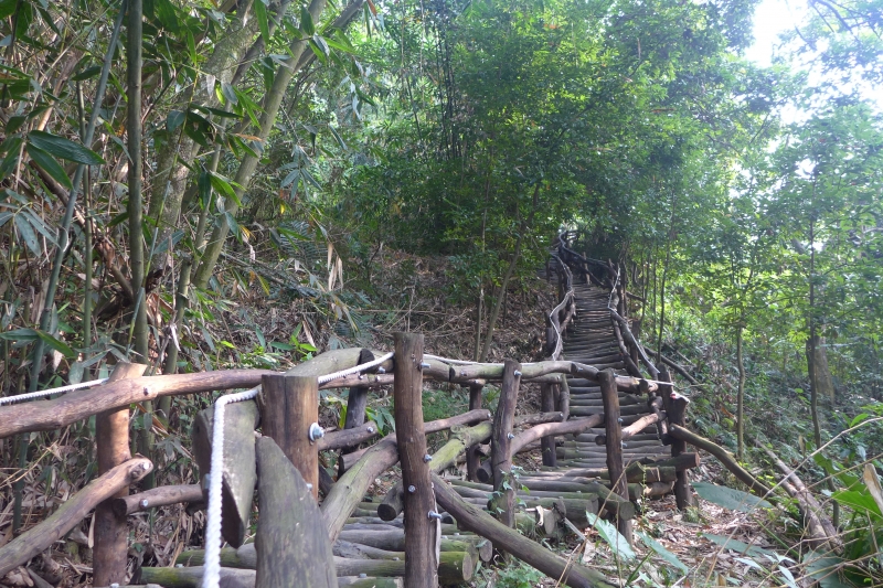 大坑8號步道