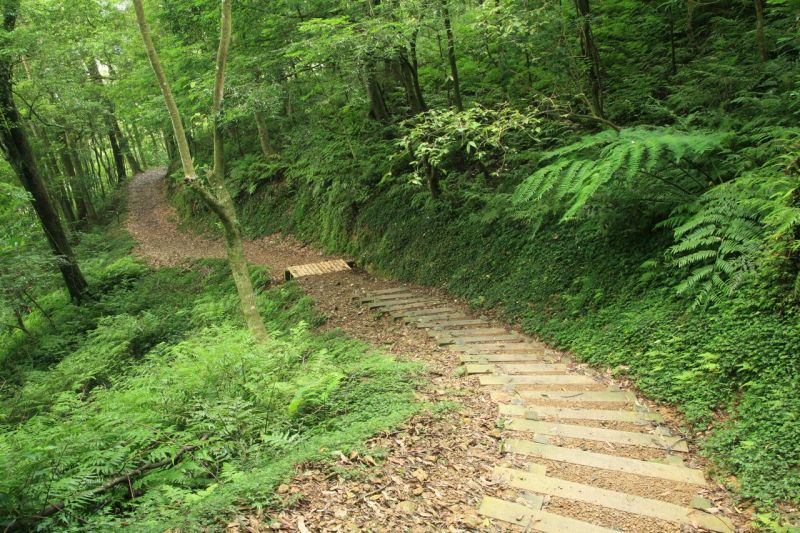 東滿步道