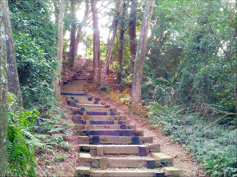 藤坪步道