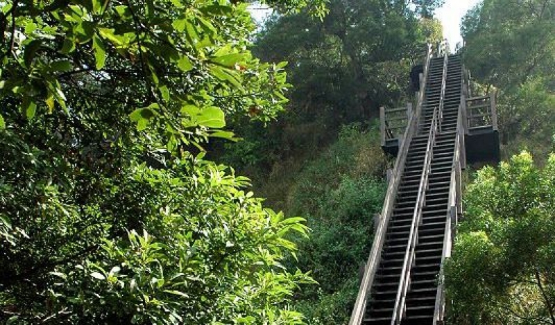 清水岩步道群﹣中央嶺造林步道