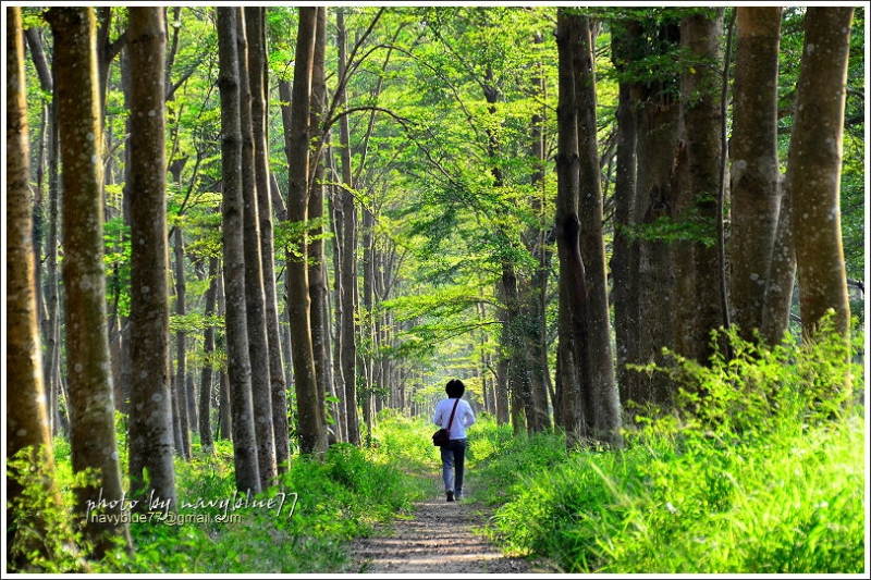 西瓜山没西瓜-虎山林场(西瓜山森林步道)寻幽记