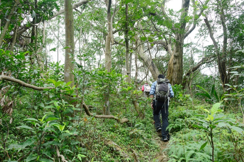 四獸山連走步道