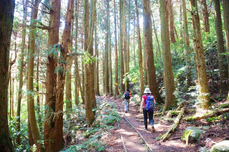 加里山登山步道