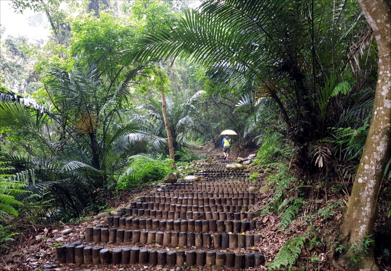 挑茶古道