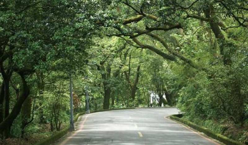 竹子湖環狀步道