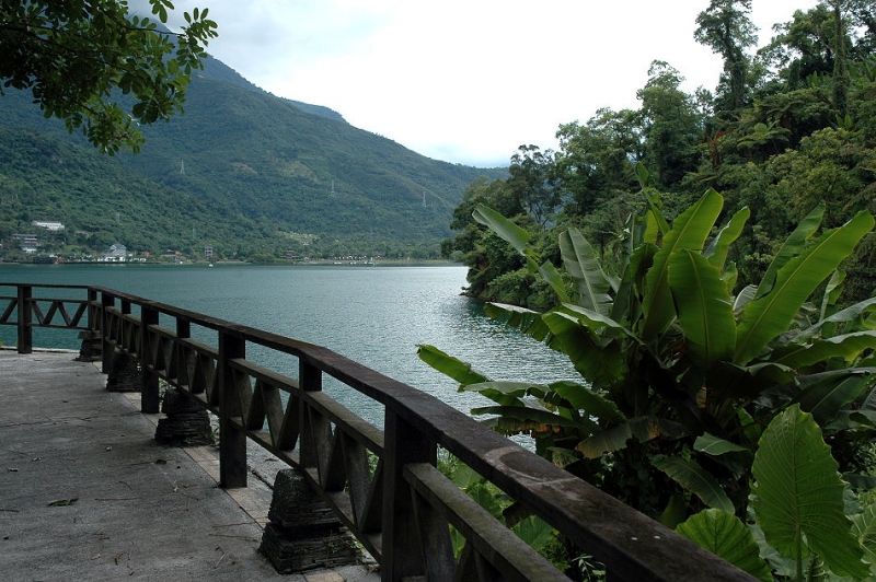 花蓮鯉魚山步道群