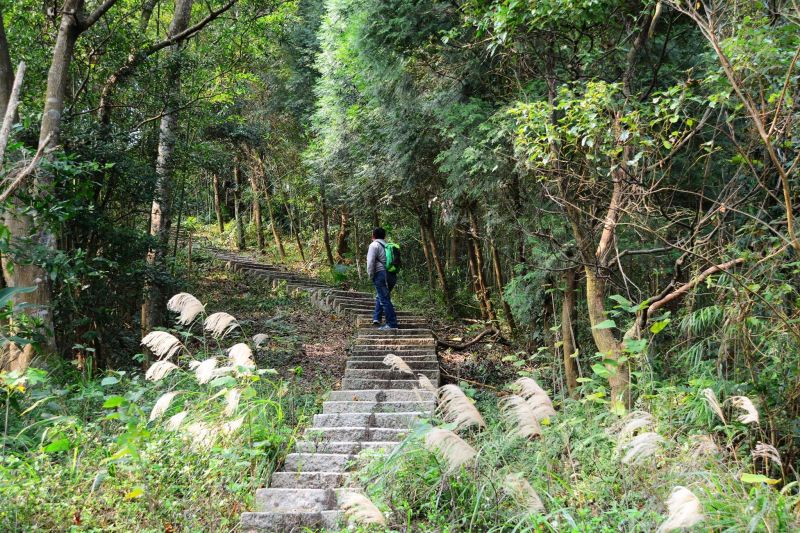 大分林山步道