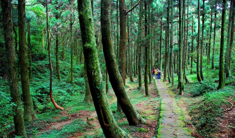 頂山石梯嶺步道