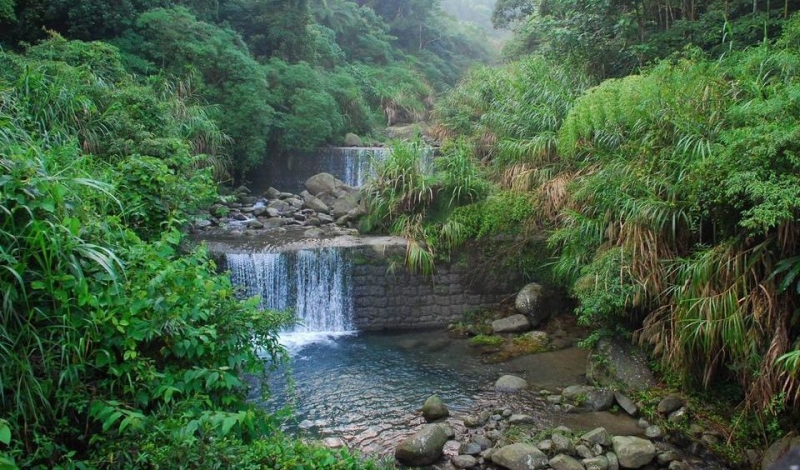 溪頭沿溪步道