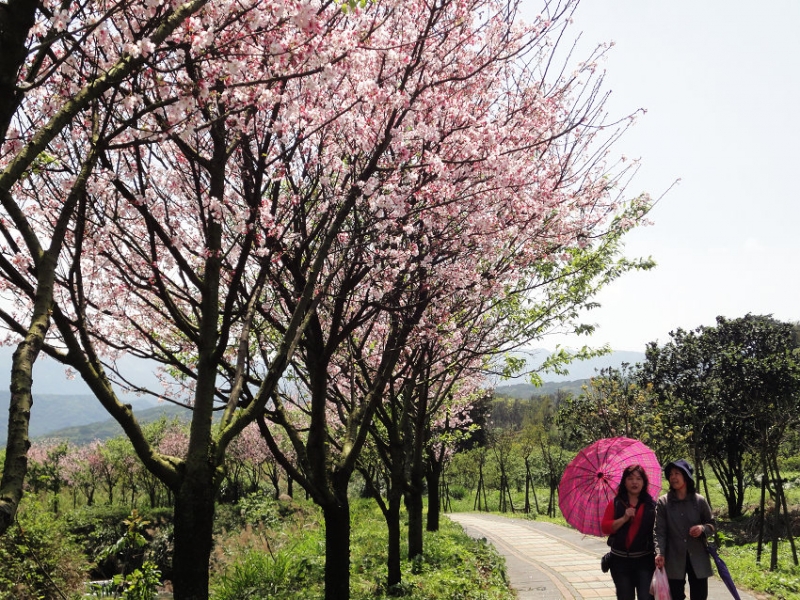 大坑溪三生步道
