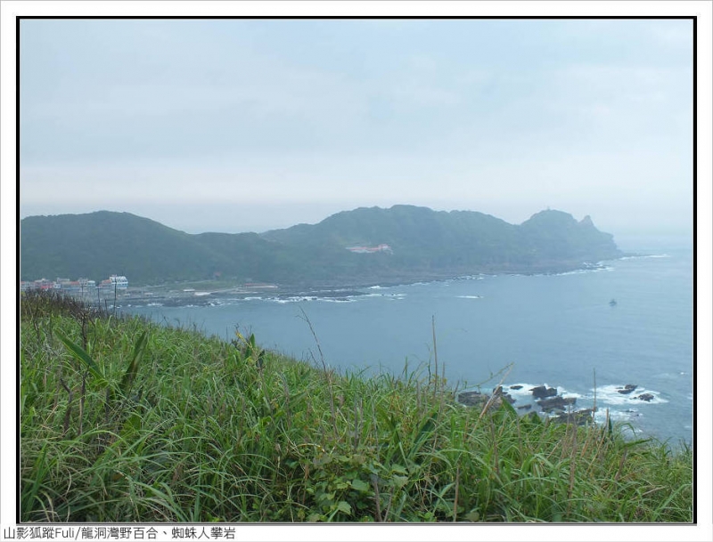 【新北市】龙洞湾岬步道野百合,黄金小径蜘蛛人潘岩