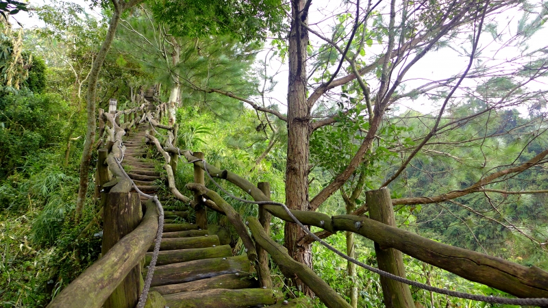 大坑3號步道