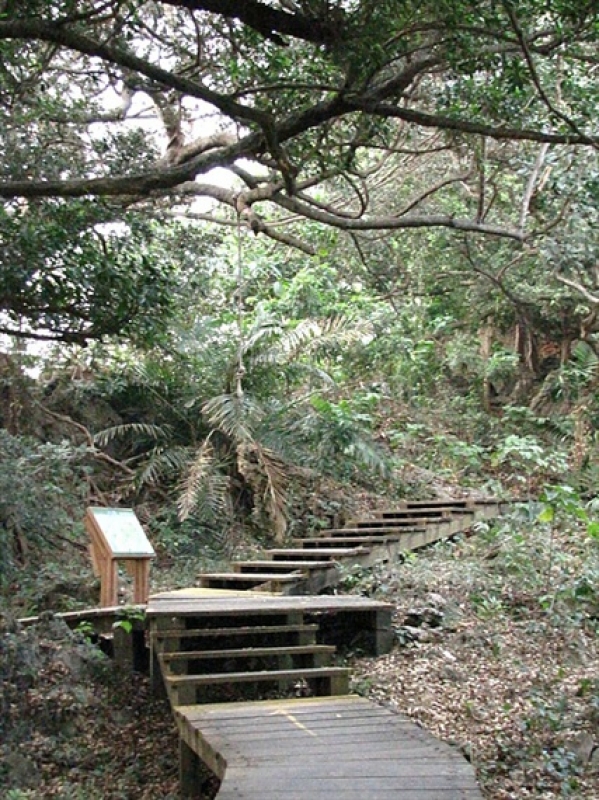 【高雄】小龟山登山步道—登山,港湾,炮台古迹全搜罗