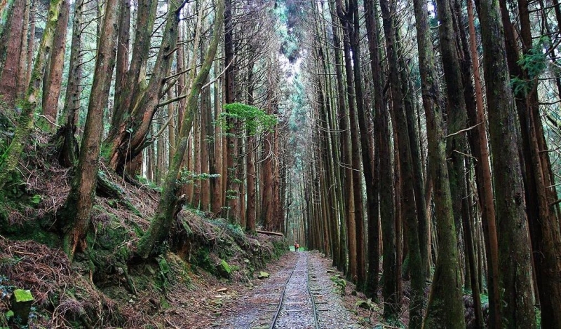 特富野古道