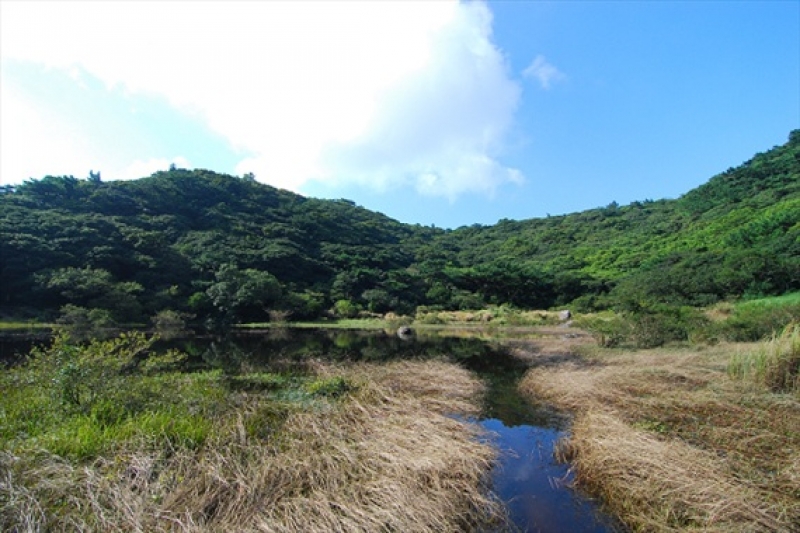 面天山、向天山步道