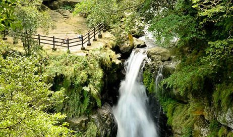 滿月圓森林步道