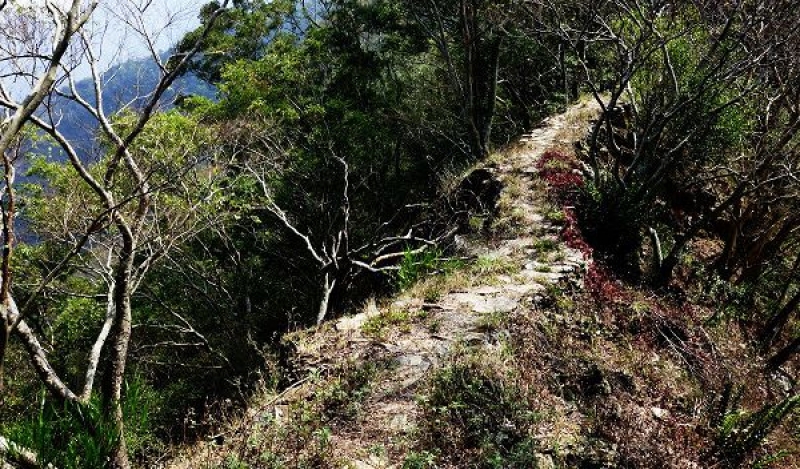 霧台山登山步道