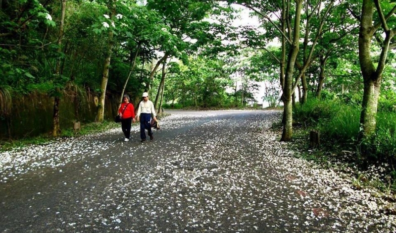 藤山步道