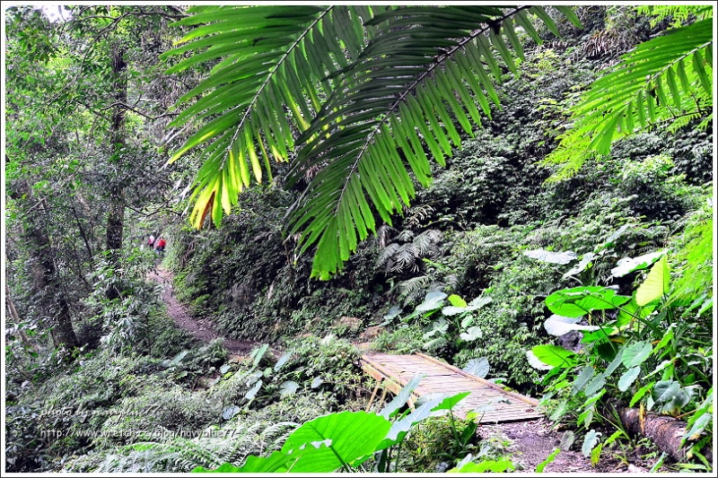 唐麻丹山步道