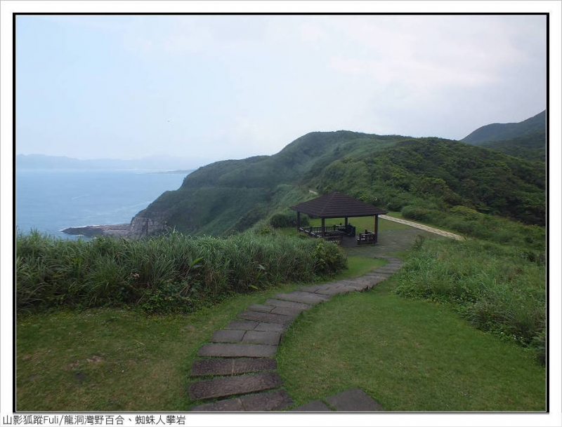 【新北市】龙洞湾岬步道野百合,黄金小径蜘蛛人潘岩