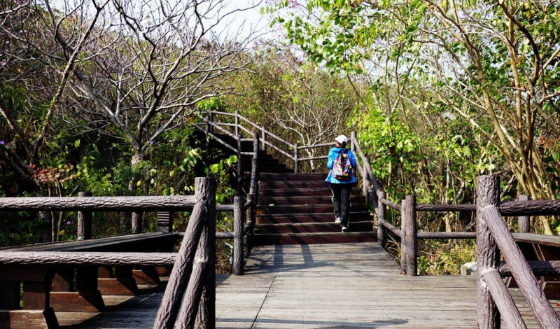 小崗山健行步道