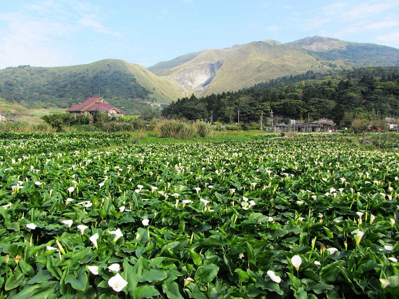 頂湖環狀步道