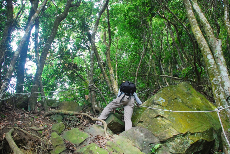 仙山登山步道