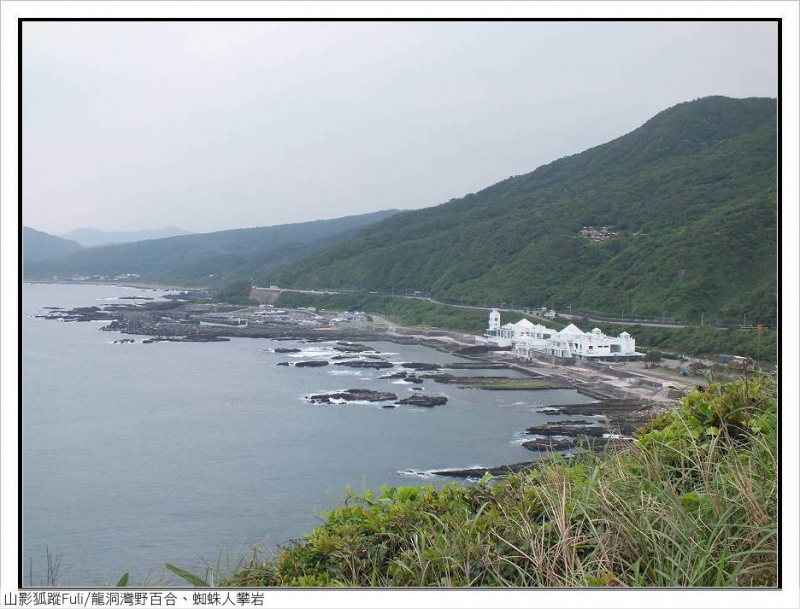 【新北市】龙洞湾岬步道野百合,黄金小径蜘蛛人潘岩