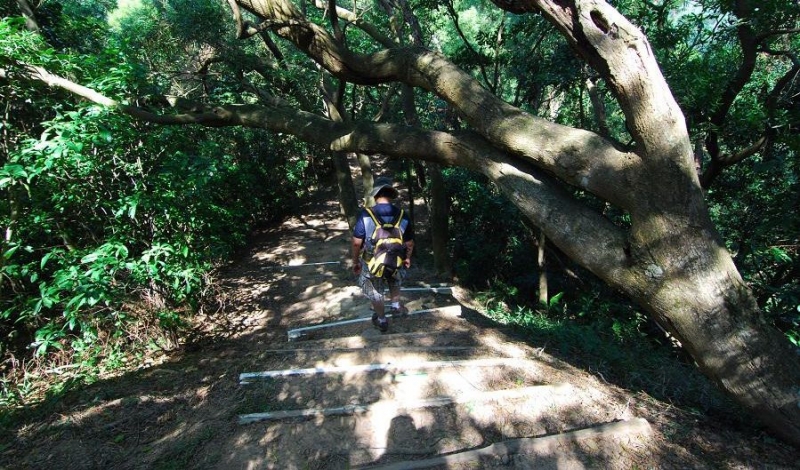 大崙頭山