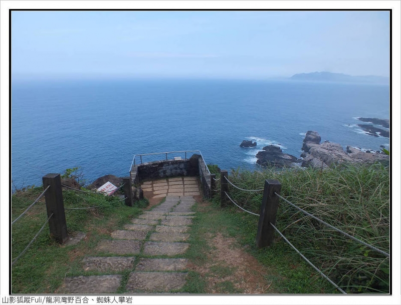 【新北市】龙洞湾岬步道野百合,黄金小径蜘蛛人潘岩