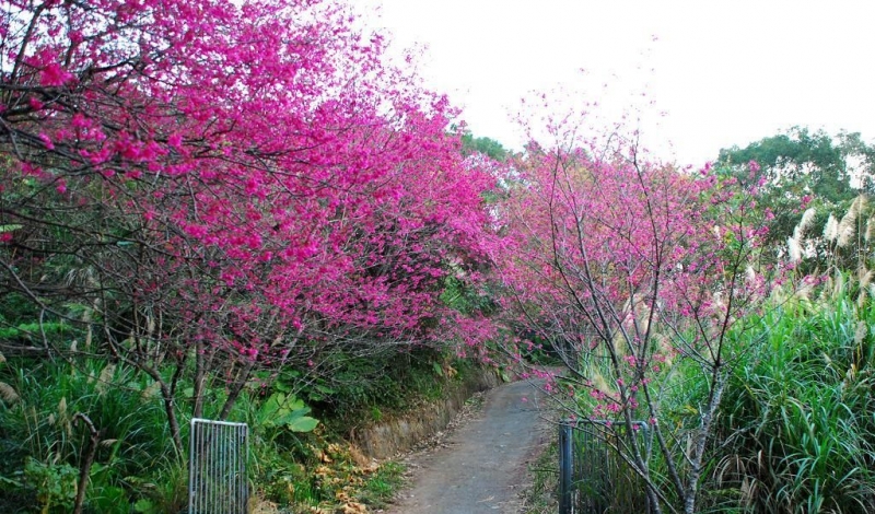 大崎棟古道