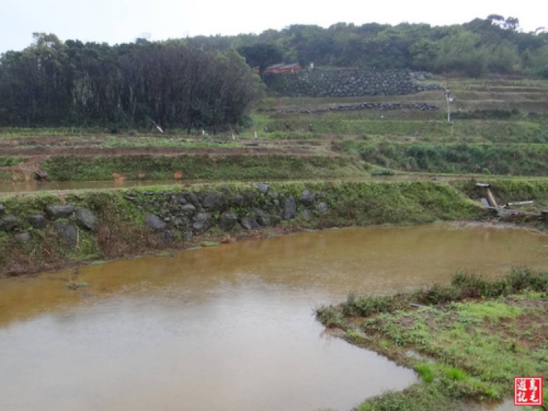 步道依序经过大坑尾桥,浩养桥,大坑口桥,又经过土地公庙之后,转为宽大