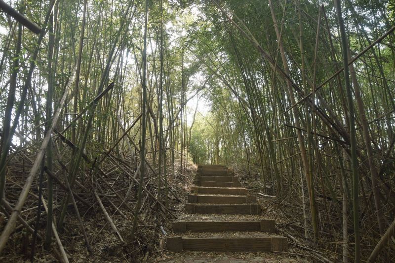 龍峎頂步道