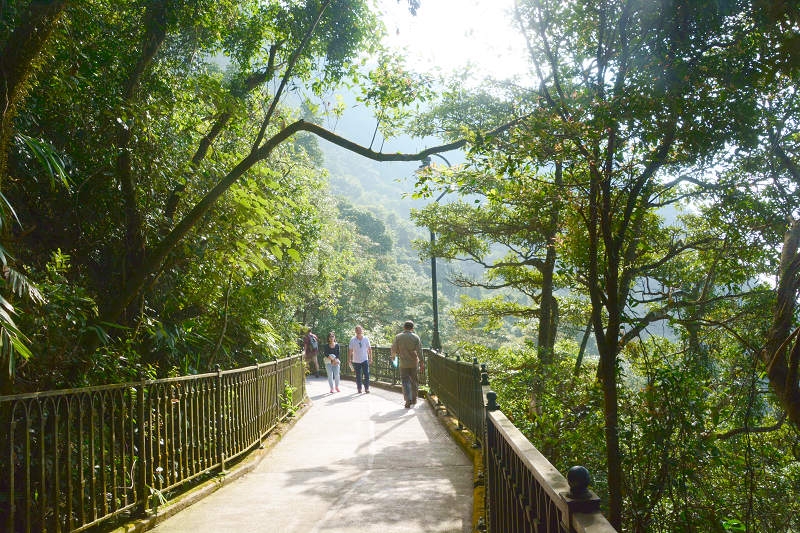 山頂環迴步行徑