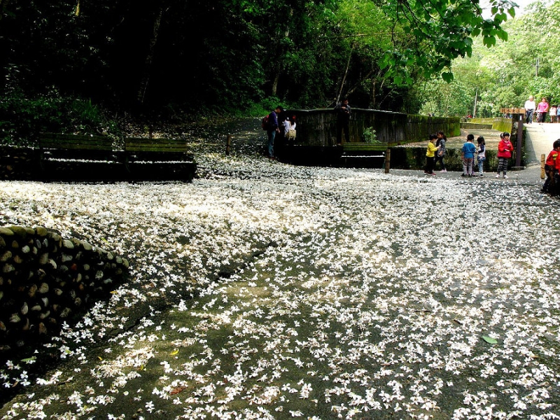 挑水古道