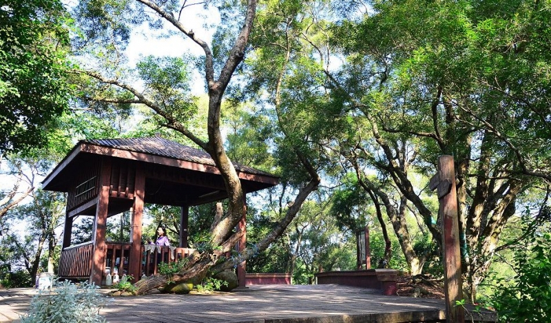 麒麟山森林步道