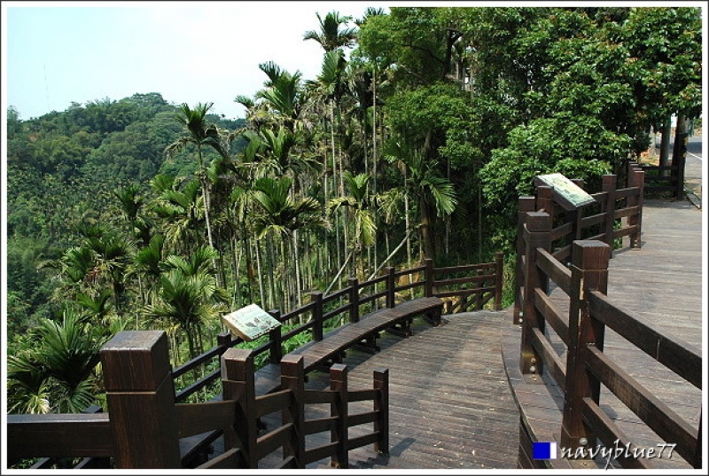 坑內坑森林步道