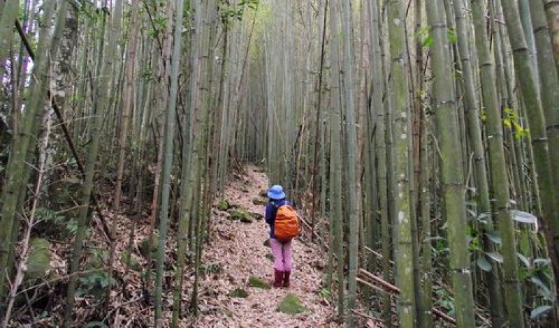 鬼澤山步道